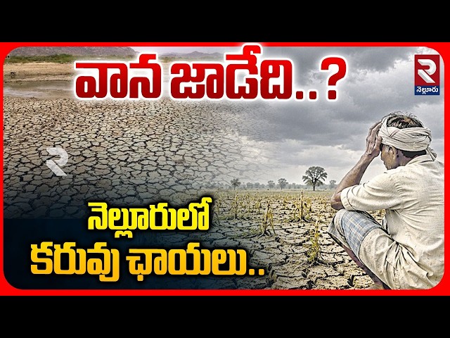 వాన జాడేది.. నెల్లూరులో కరువు ఛాయలు | EI Nino Effect In Nellore | RTV