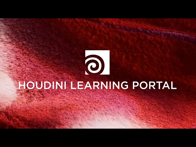 Houdini Learning Portal | Alasgar Hasanov | HEX