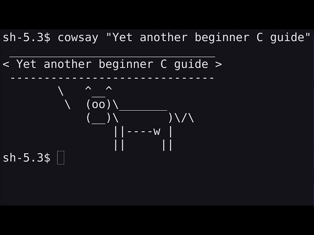 Simple C CLI Tool From Scratch | Learn C Programming | mattmaties