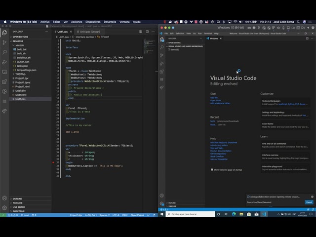 Useful Extensions - Live Share - TMS Web Core for Visual Studio Code