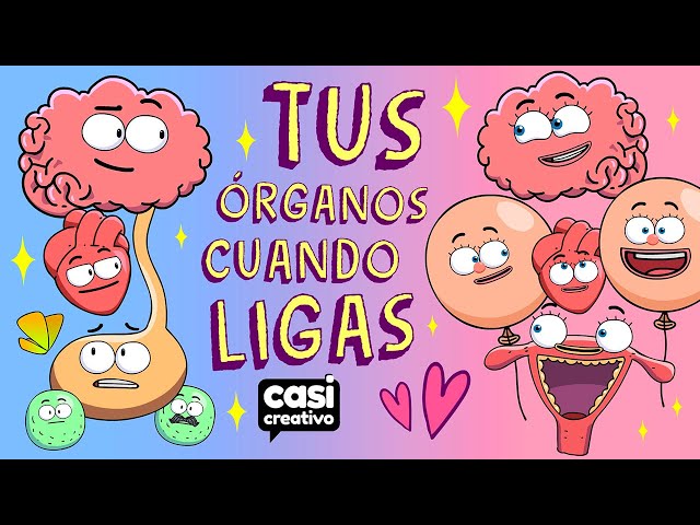 Tus Órganos Cuando Ligas | Casi Creativo