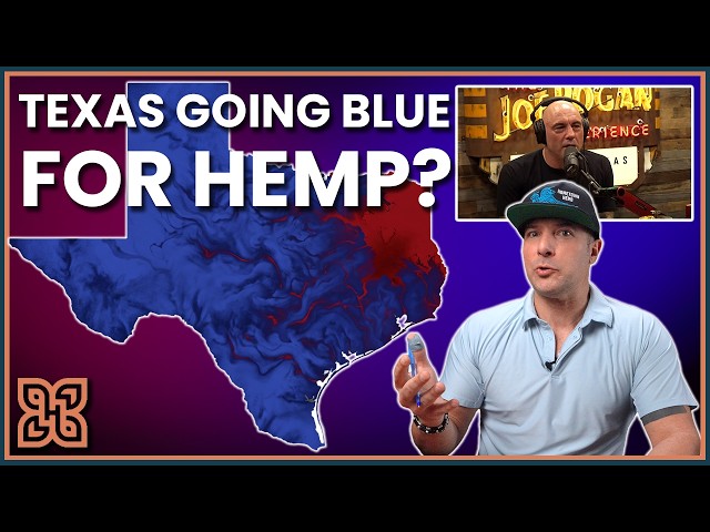 THC Ban Fallout: Joe Rogan Reacts, Texas & Federal Lawsuits, San Antonio Raids