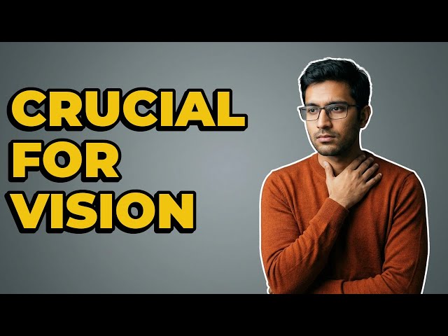 Why Is Edge Detection Essential For Image Analysis?