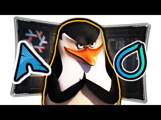 So, i Tried RICING Linux - hard, but worth it