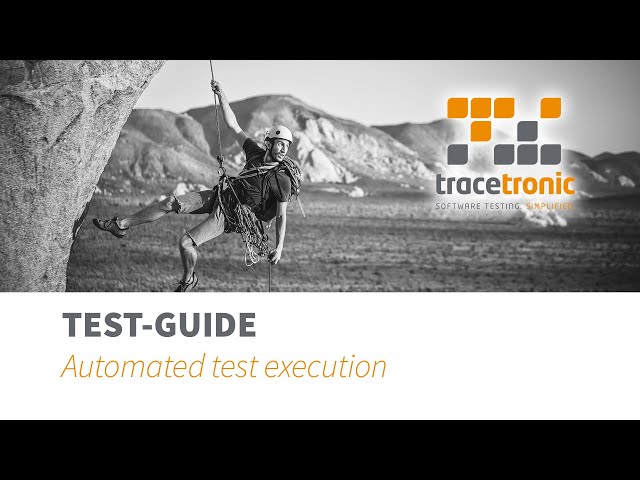 Automated test execution with test.guide