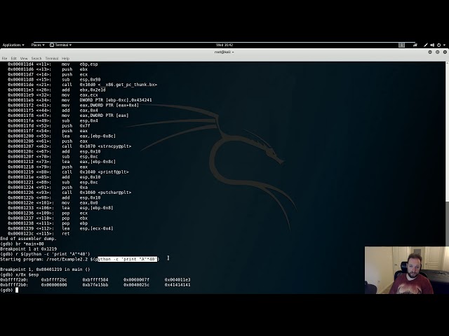 Demo3 - Format String Vulnerability and Exploit