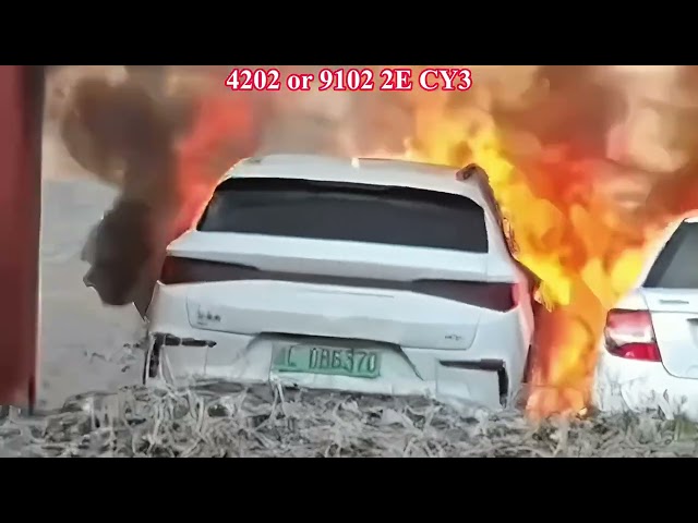 BYD E2 Wenzhou, Zhejiang Province