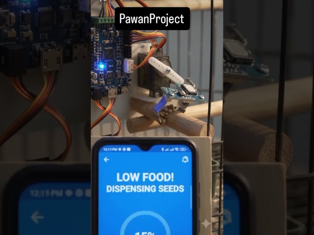 DIY Smart Bird Feeder Using IoT & Microcontroller | Automated Pet Care Project