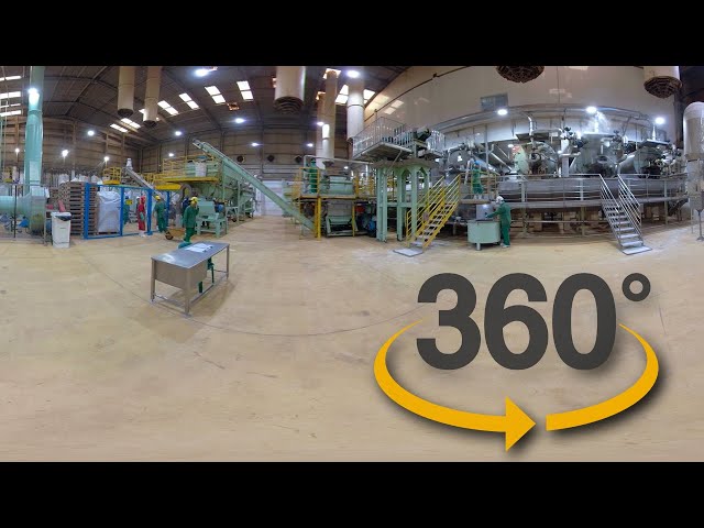 Virtual Reality 360° VR: Animal Rendering industries
