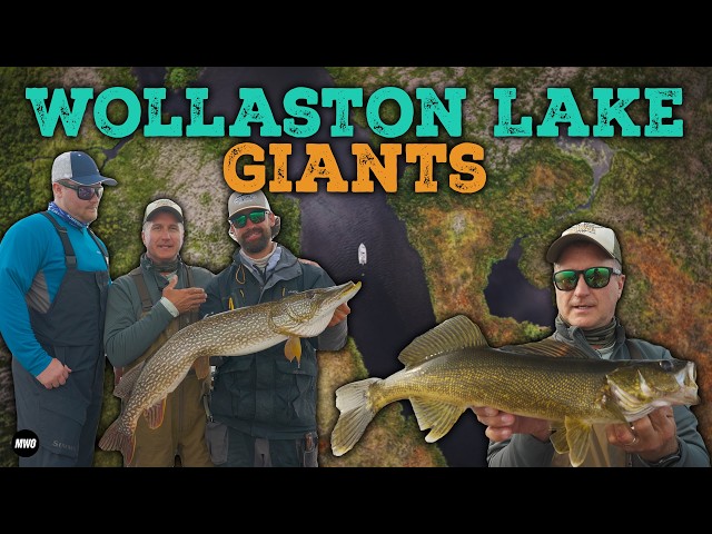 Any Cast Can Produce a Trophy — 41-Inch Pike & Giant Walleye at Wollaston Lake, Saskatchewan