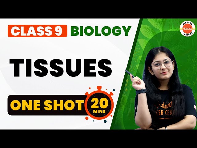 Tissues Class 9 One Shot Revision in 20 Mins | NCERT Class 9th Science (Biology) | CBSE 2024