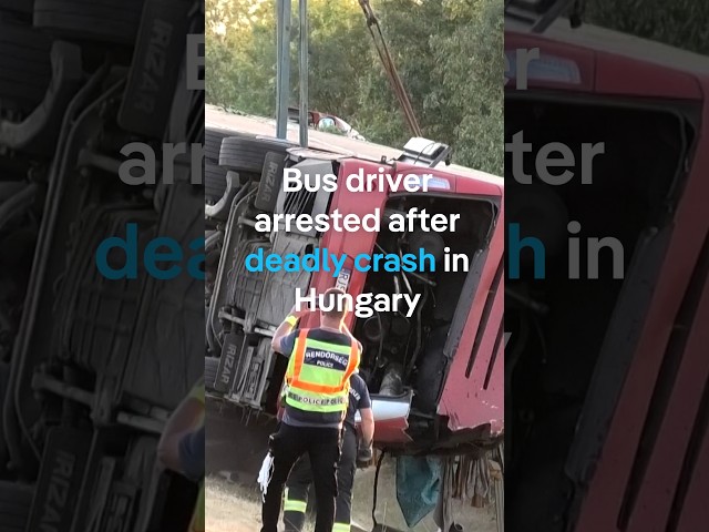Survivor describes horror on deadly bus crash in Hungary | DW News