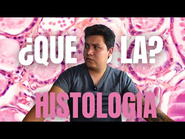 ¿Que es la HISTOLOGIA? | Apuntes de Anatomia | Muy facil