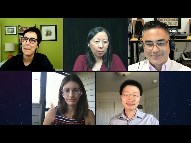 Leadership in Data Science - Panel at DataScienceGO Virtual