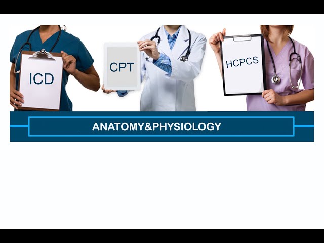 BASIC SUBJECTS TO UNDERGO FOR MEDICAL CODING PROFESSION