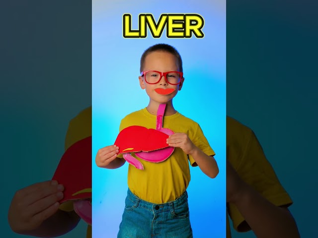 🍎 Learn How Our Body Processes Food 🍽️ #kids #learn