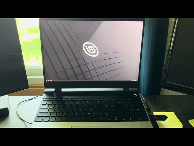 Framework 16 Audio issues - Linux Mint Standalone