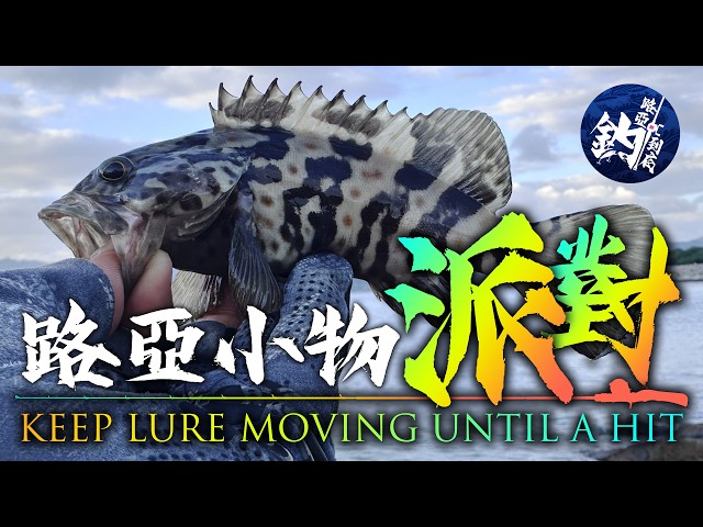 【路亞小物派對】返璞歸真亮片得食! #路亞釣到底｜#路亞｜#釣魚｜香港路亞釣魚｜#根魚｜#小物｜#lure｜#fishing ｜#lurefishing｜#hongkongfishing