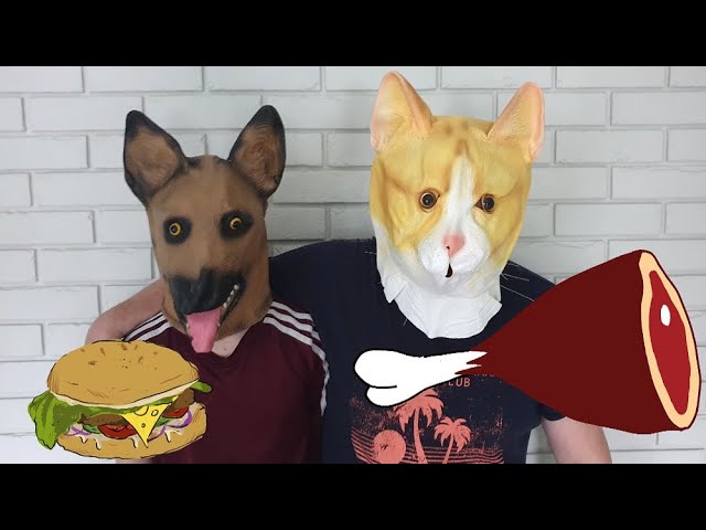 Cat DOG and a big chicken with balloon, animals masks comedy video by Dora Pomidora