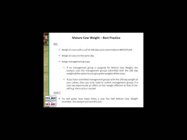 BREEDPLAN Traits - Weight and Carcase Traits