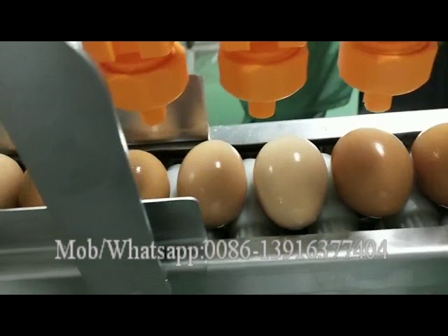 Egg Breakers & Yolk Separators