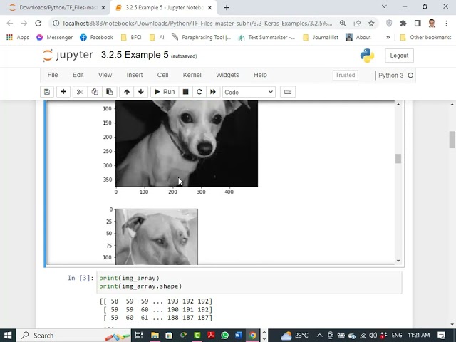 Classification of dogs and cats project