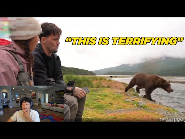 Jason Reacts To Adapt & Maya's Close Grizzly Bear Encounter In Alaska 😭