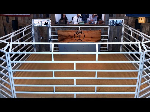 Four Sons Farms & Friends Spring Sale, Cynthiana, KY