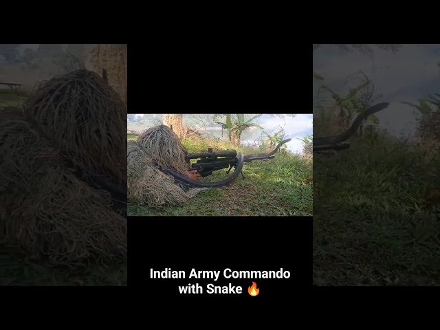 Indian Army Sniper Commando Training with Snake 🔥 #shorts #viral #viralvideo #sniper #commando #army