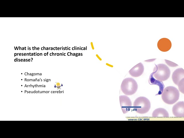 Computerized Lab 1/3: Trypanosoma, Leishmania & Malaria – Parasite Identification + Quiz