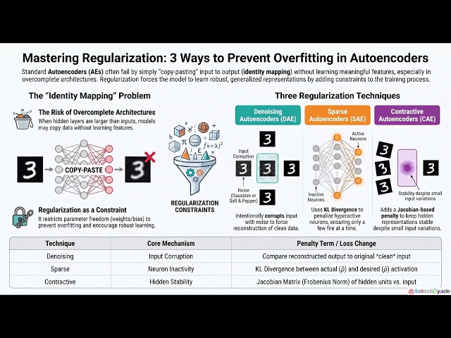 Autoencoder Regularization Masterclass: Denoising, Sparse & Contractive AE Explained