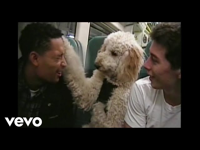 Loyle Carner - Ottolenghi (Official Video) Ft. Jordan Rakei