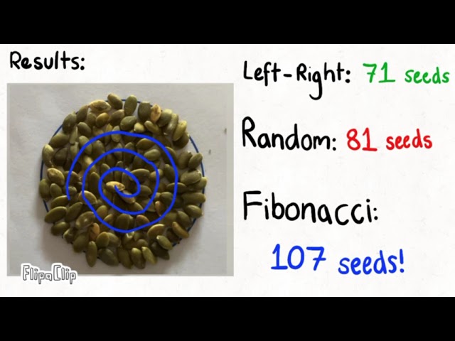 The Fibonacci Sequence- Nature's Amazing Pattern- Highly Commended, 2026 School Science Eureka Prize