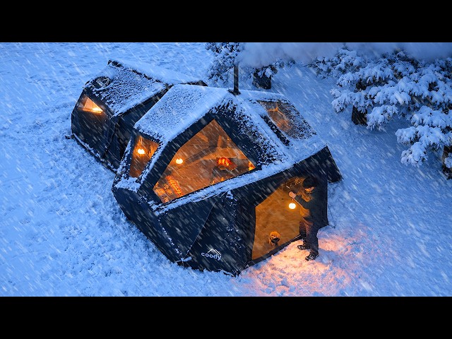 7 Days of Heavy Snow Camping with My Dog . Binge Watching ASMR