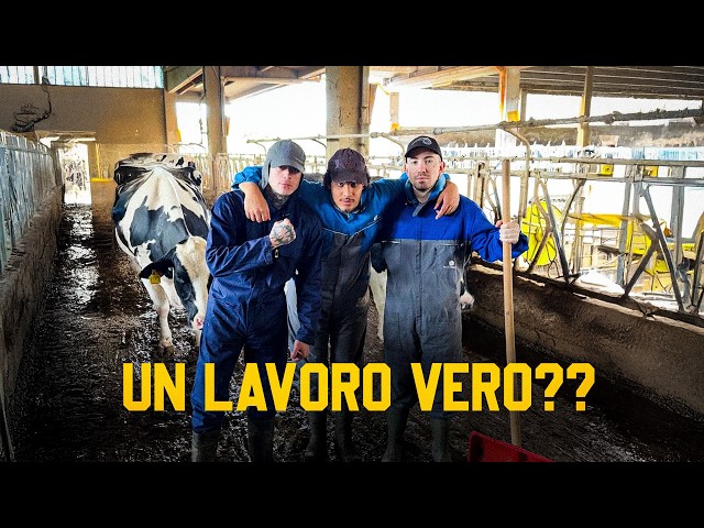 ABBIAMO TROVATO UN LAVORO VERO