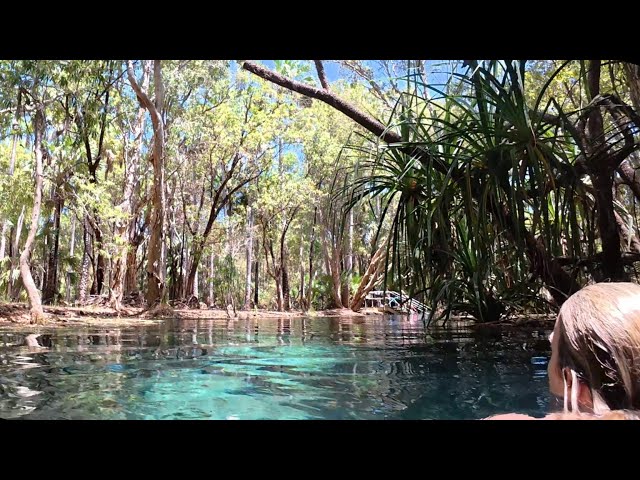 Bitter Springs - A Natural Thermal Pool in Mataranka