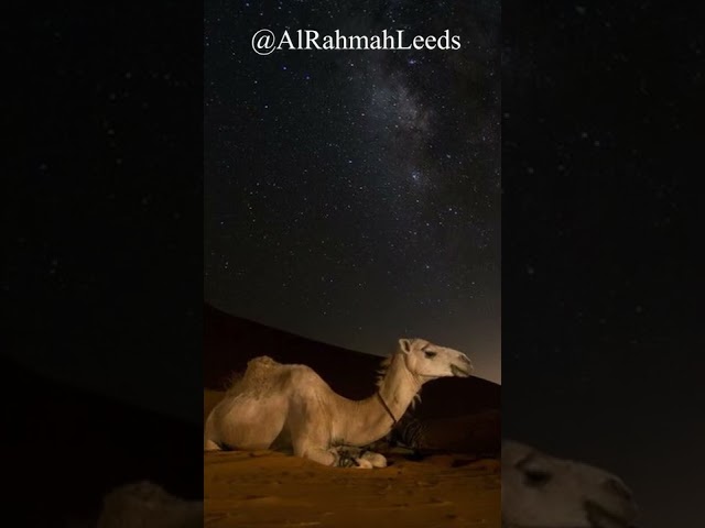 Most Important Right of Muslims | Al-Rahmah Leeds | Abu Usamah At-Thahabi