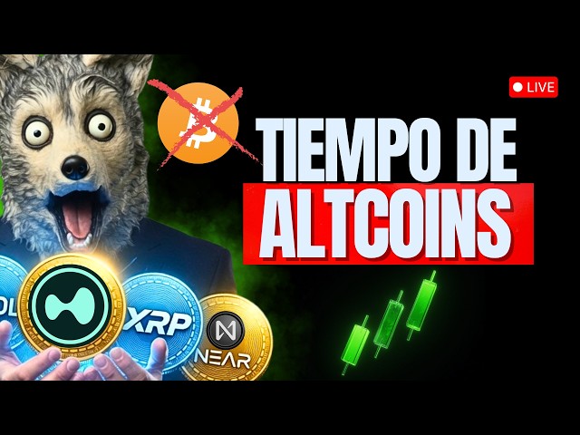 🚨 BITCOIN WILL RISE… BUT THESE ALTCOINS ARE GOING TO EXPLODE | LIVE Analysis