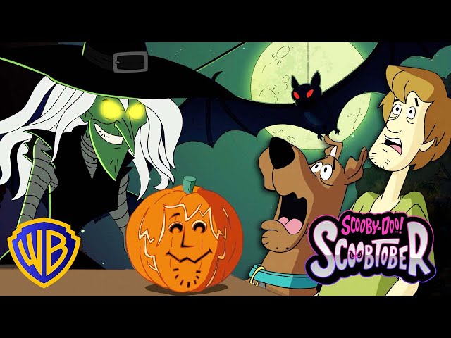 Get ready for HALLOWEEN 🎃👻 | Scooby-Doo! | #kidscartoons @wbkids​