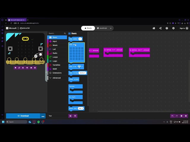 Micro:Bit Coding:  Basics & Inputs!