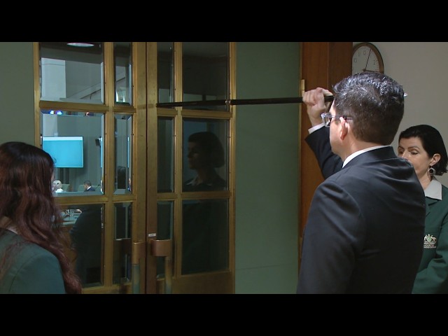 The opening of a new Parliament