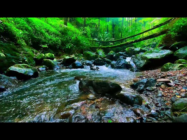 Peaceful River Flowing Sound. Gentle River, Relaxing Nature Sounds. White Noise for Sleeping Study