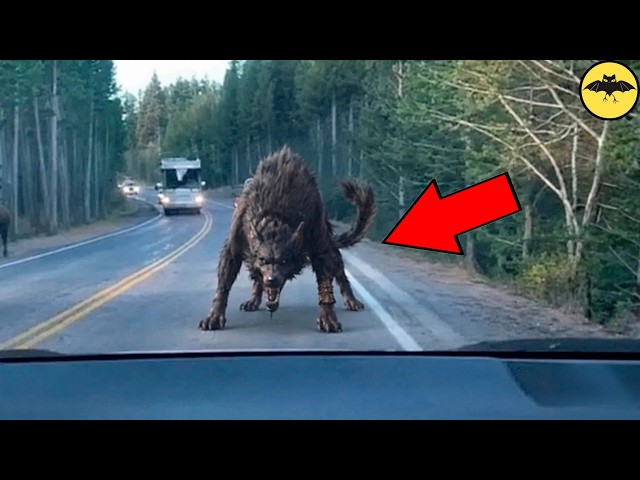 Weirdest Things Caught on Camera No One Can Explain