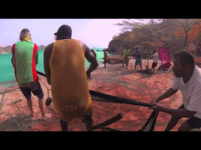 Systema Solar - Yo Voy Ganao (Video Oficial)