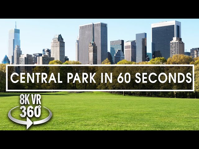 Central Park - Travel Bits - 8K 360 VR Video