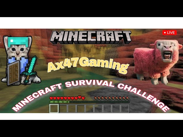 minecraft survival challenge || A new journey episode 11