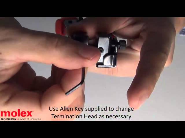 EN Cat5E termination with DataGate Jack & U UTP Cable & 4 Pair Tool