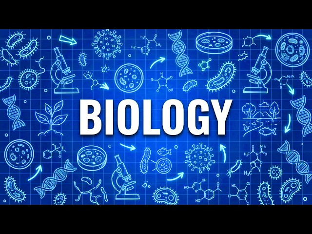 Biology Explained Simply - Like You Are 5 Years Old