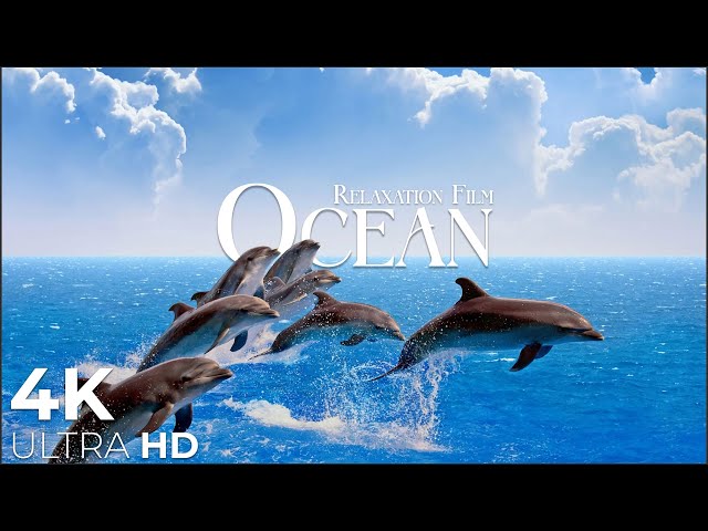 Ocean 4K - Amazing Ocean Life with Beautiful Relaxing Music - by Relaxation Film