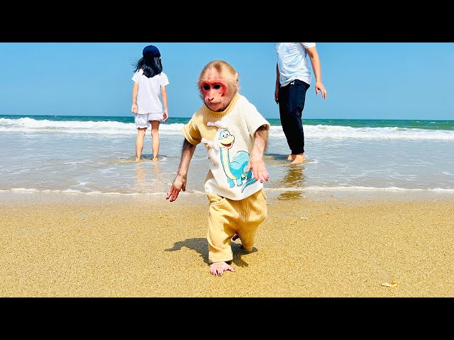 Bibi panicked when saw the ocean waves!